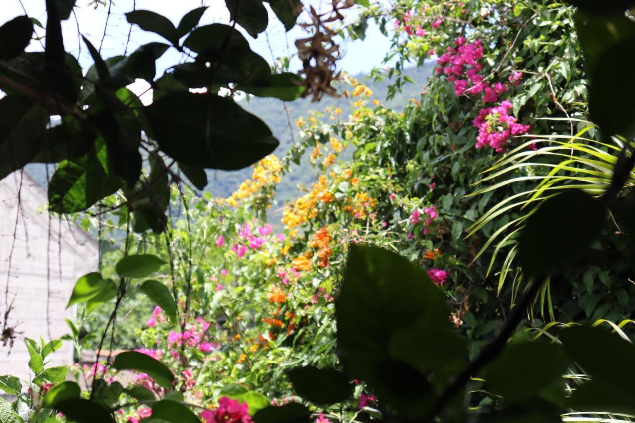 Casa Quetzalli, La Recoleccion Antigua Esterno foto